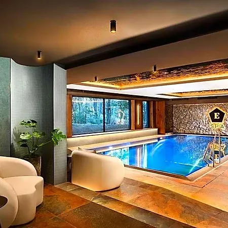 Elements Tatranska Lomnica